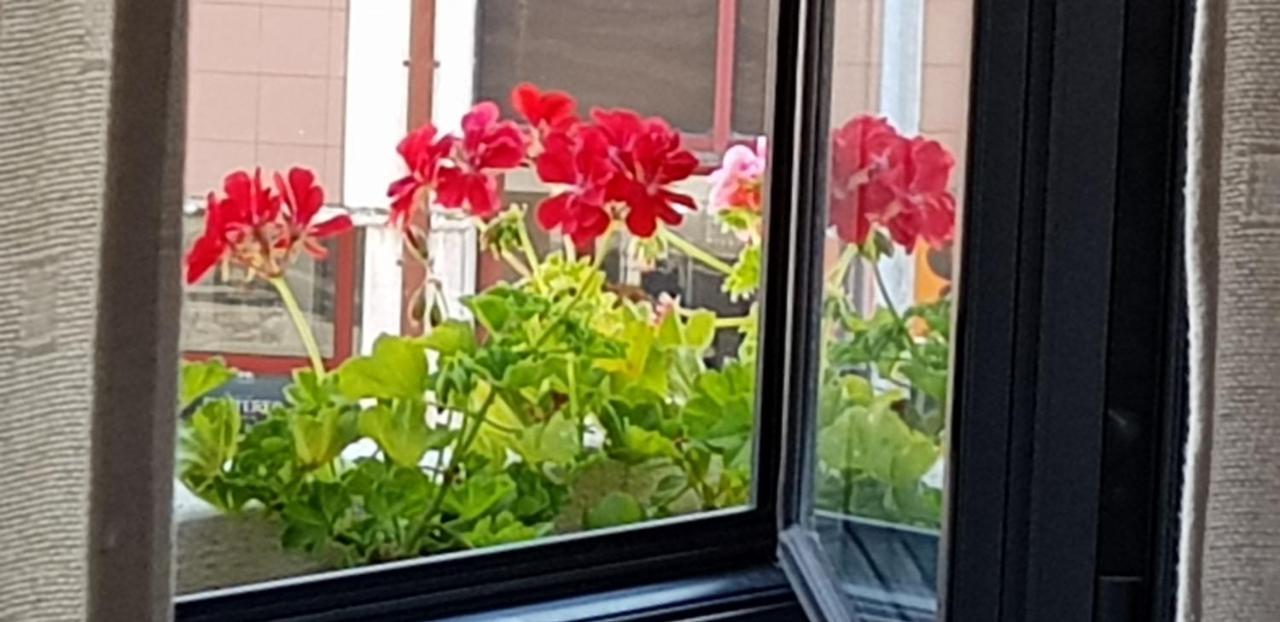 Green House 아베이루 외부 사진