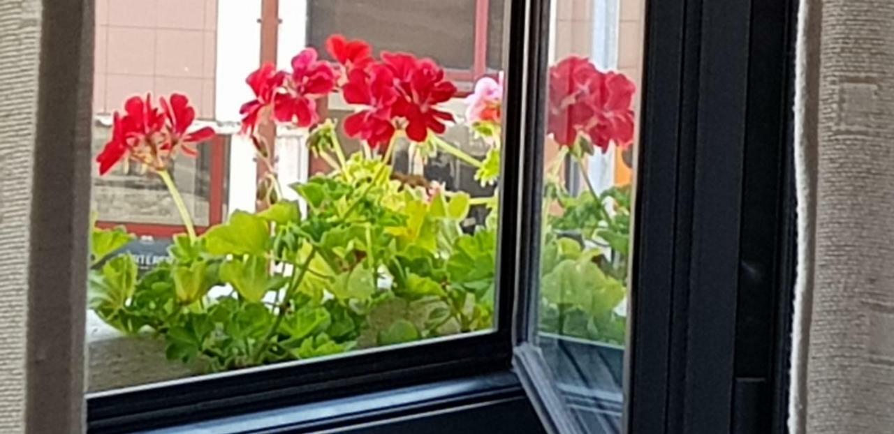 Green House 아베이루 외부 사진